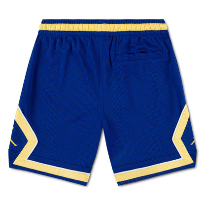 Brazil National Team Youth Mesh Demand Dri-FIT Shorts - Royal