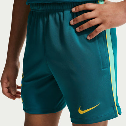 Brazil National Team Youth 2026 Academy Pro Dri-FIT Shorts - Teal